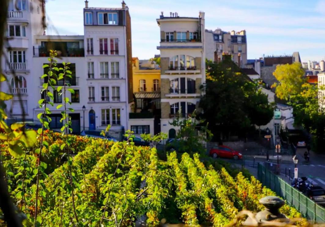 Vue Magnifique Sur Le Sacre Coeur. Appartement *
